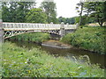 Bridge on the river Bush