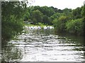 River Avon near Pershore