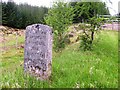 Strathbran Plantation commemorative stone