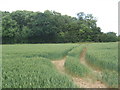 Wheat field and corner of New Covert