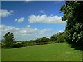 Picnic area, near the A40 east of Burford