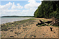 River Orwell foreshore