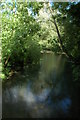 The River Avon at Malmesbury