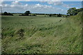 Wheat field near Malmesbury