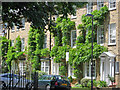 Alwyne Square, Canonbury