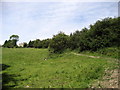 Track leading away from Gill Beck