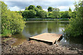 Pond in Walmesley Park