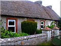 G8762 : Cottage near Ballyshannon by louise price