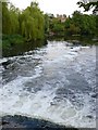 River Avon, Saxon Mill, Warwick