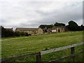 Field by Thorpe Lane