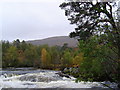 NH2023 : River Affric by Rob Pedley