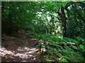 Oakham Common