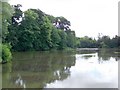 Lake, Dinton Park