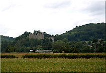 SS9943 : Dunster Castle NT by Beryl Allcoat