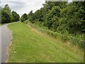 Footpath through the estate