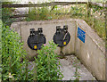 Storm overflow discharge at Spring Gardens pumping station, Alresford