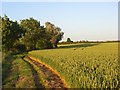 Farmland and bridleway, Stoke Lyne