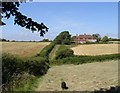 The Weald Way near Endlewick Cottages, Arlington