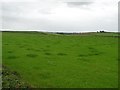 Gorsebank Townland