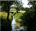 Cuckmere River at Michelham