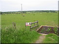 Looking E across farmland from the road to Shuttlesfield