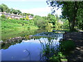 Magdale Dam, Honley