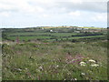 View across Rame Common