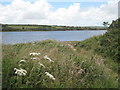 Stithians Reservoir