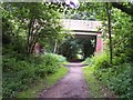 Bridge over linear path