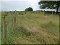 Vacant land, Brookmount Road, Omagh