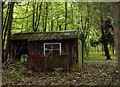 Sheds in Little Wood