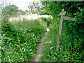 Footpath junction, near Storrington