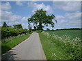 Lane and farmland near Edgmond