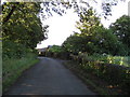 Breck Lane - Approaching Foxstone Kennels