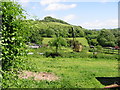 The Alkham Valley in early summer