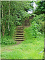 Steps from River Severn footpath to Bewdley Bypass