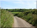 SN0900 : Typical country lane in the area by Colin Bell