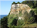 Cliff between Seaton Hole and Connett