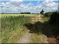 Track Near Meadow Farm