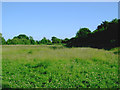 Southernmost part of The Gallops, Findon Valley