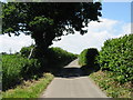 Looking W along Ferne Lane