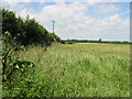 Field boundary from Ferne Lane