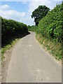 View along Ferne Lane