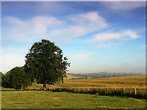 SU0840 : Farmland near Winterbourne Stoke, Wiltshire by Brian Robert Marshall