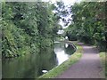SO8886 : Stourbridge Branch Canal by John M