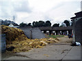 Slade Stables, Stable Lane