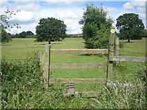 SO7383 : Stile on a little used footpath by Row17