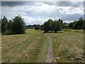 Footpath to Hawbush