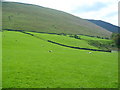 Pasture land below Souther Fell