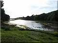 Cosheston Pill in the evening